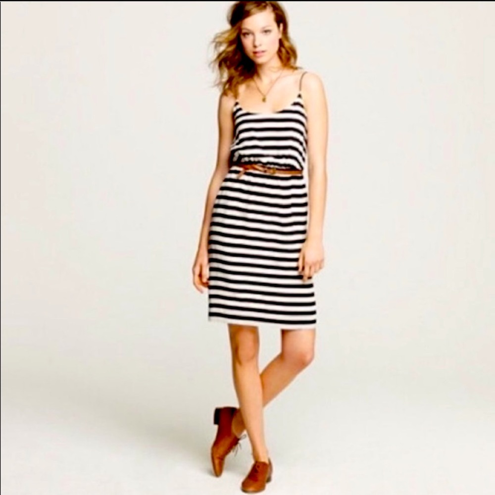 J.Crew Silk Dress